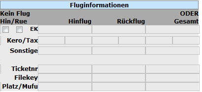 Fluginfos