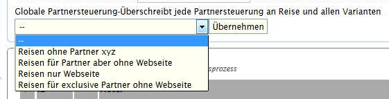 globale Partnersteuerung